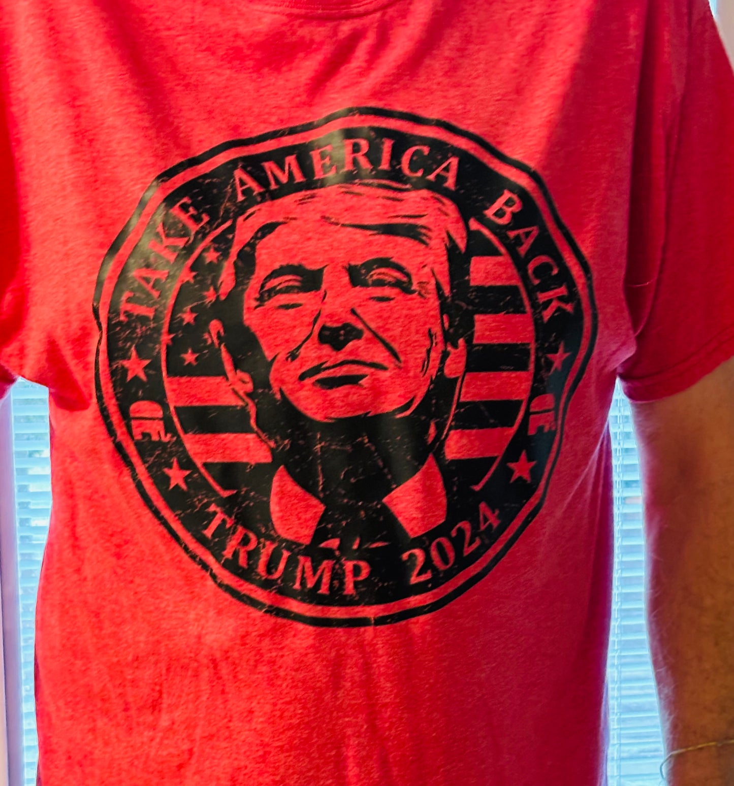 TAKE AMERICA BACK TEE