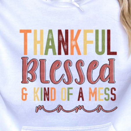 THANKFUL BLESSED SWEATSHIRT